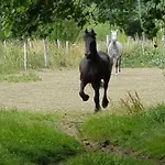 La Roulotte Du Pinleu Frühstückspension 4*